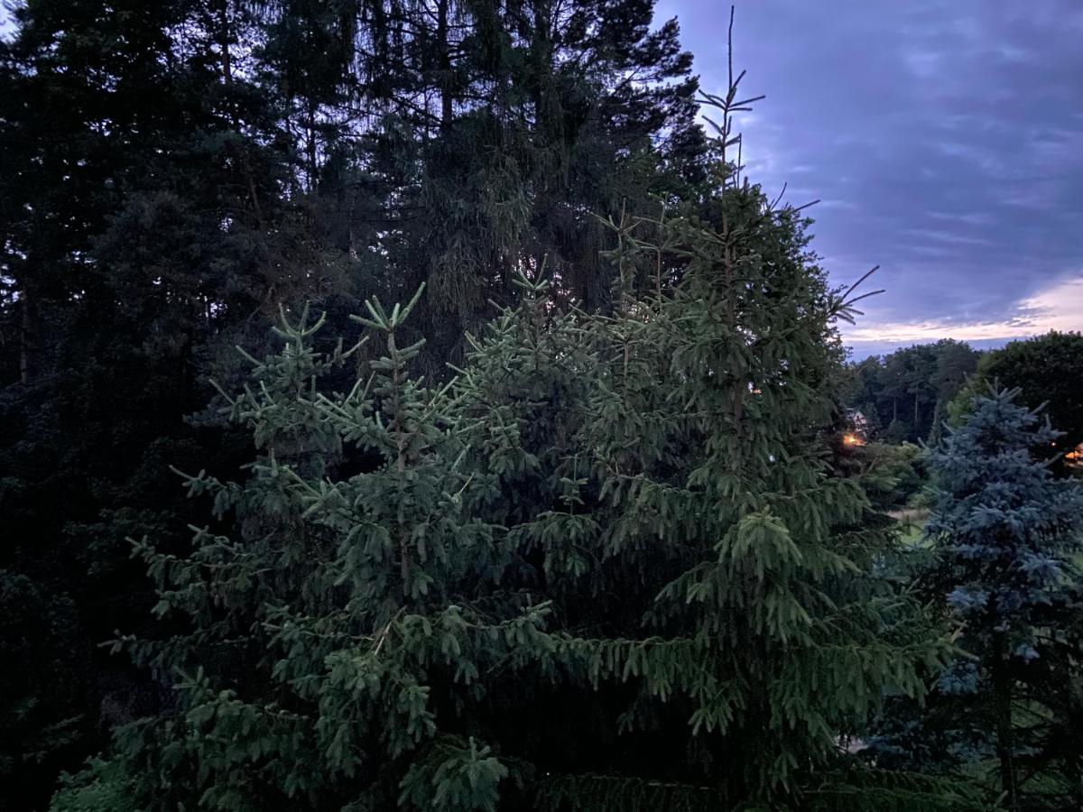 الشقق الفندقية Waldwerk Wurlgrund لوشن المظهر الخارجي الصورة